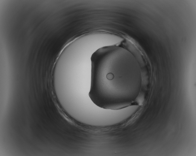 X0000083580858200703021814