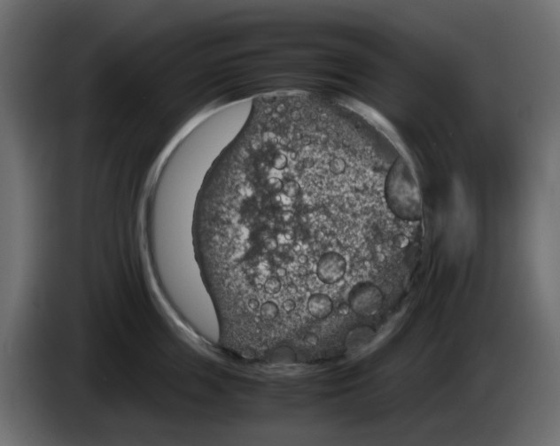 X0000083580859200703021814