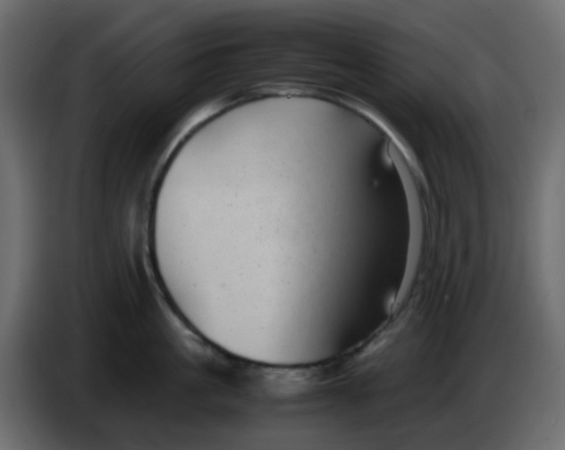 X0000083580861200703021814