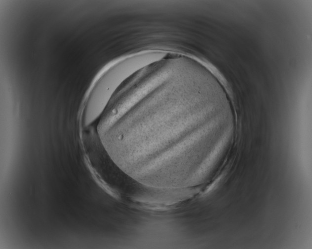 X0000083580862200703021814