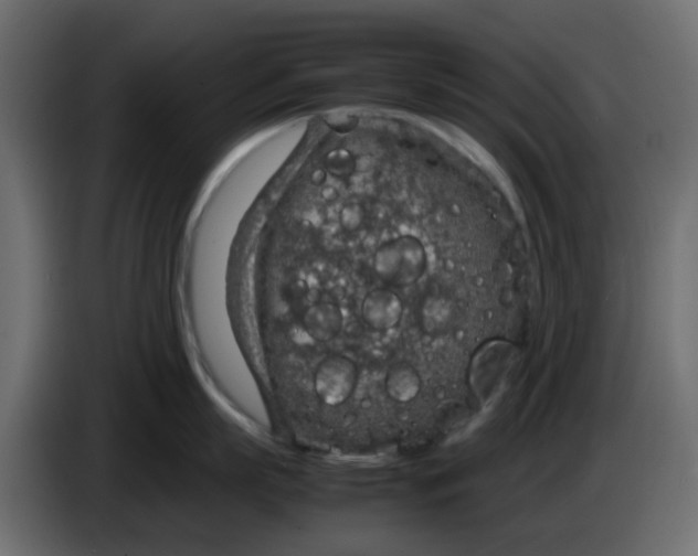 X0000083580863200703021814