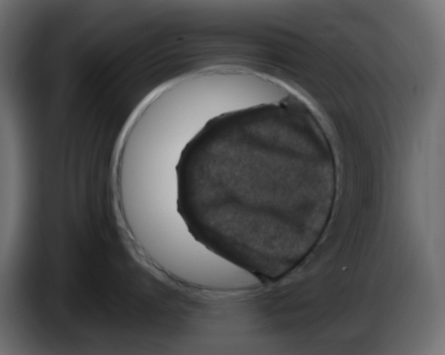 X0000083580864200703021814