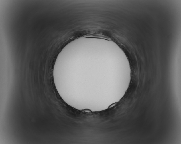 X0000083580865200703021813