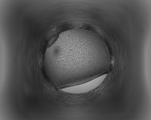 X0000083580867200703021813