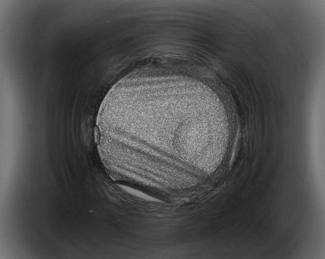 X0000083580868200703021813