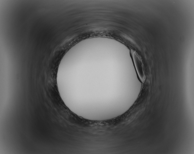 X0000083580869200703021813