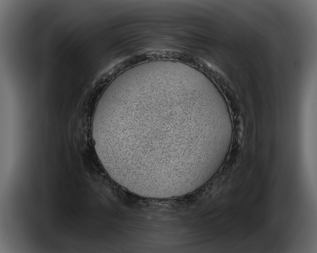 X0000083580870200703021813