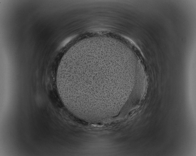 X0000083580871200703021813