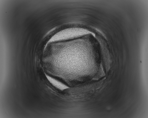 X0000083580872200703021813