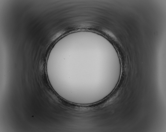 X0000083580873200703021813