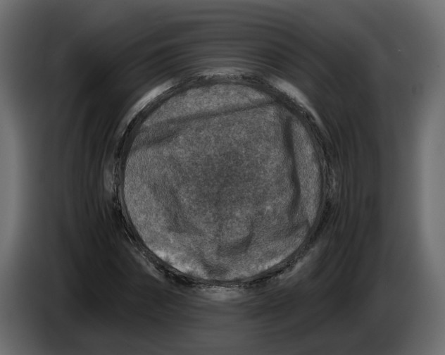 X0000083580874200703021813