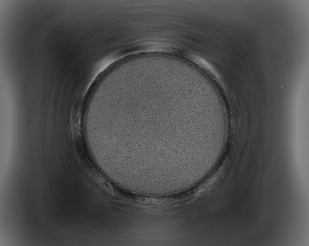 X0000083580875200703021813