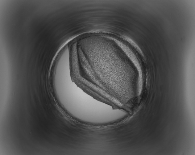 X0000083580876200703021813