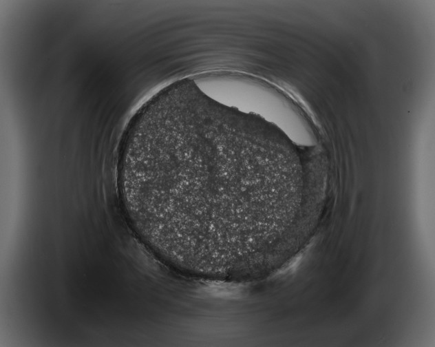 X0000083580877200703021813