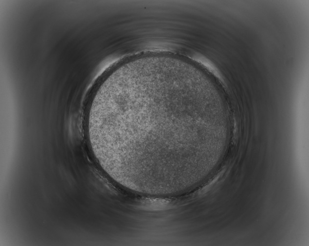 X0000083580878200703021813