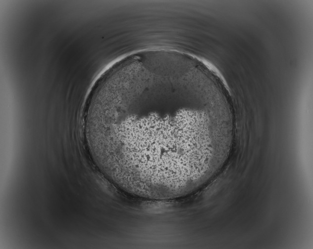 X0000083580879200703021813