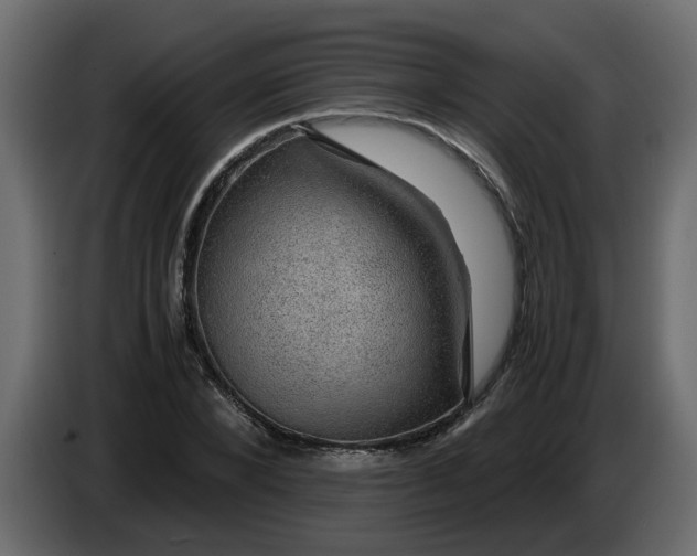 X0000083580880200703021812