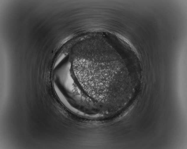 X0000083580881200703021812