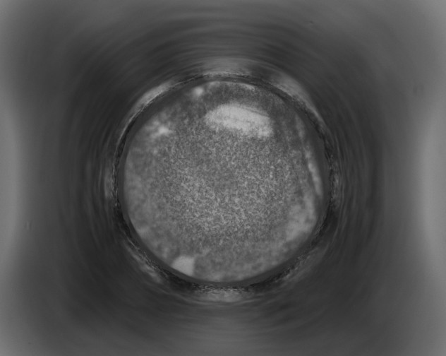 X0000083580882200703021812