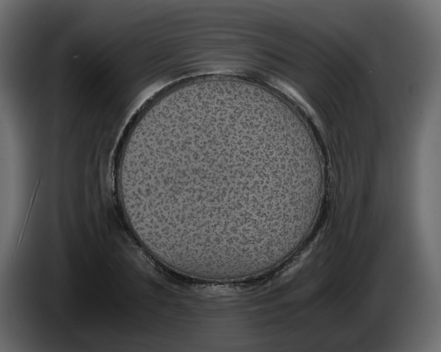 X0000083580883200703021812