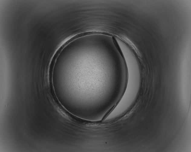 X0000083580884200703021812