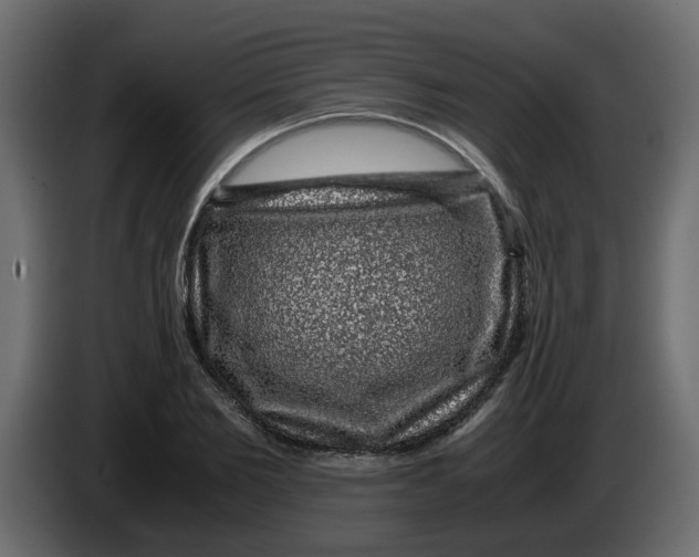 X0000083580885200703021812