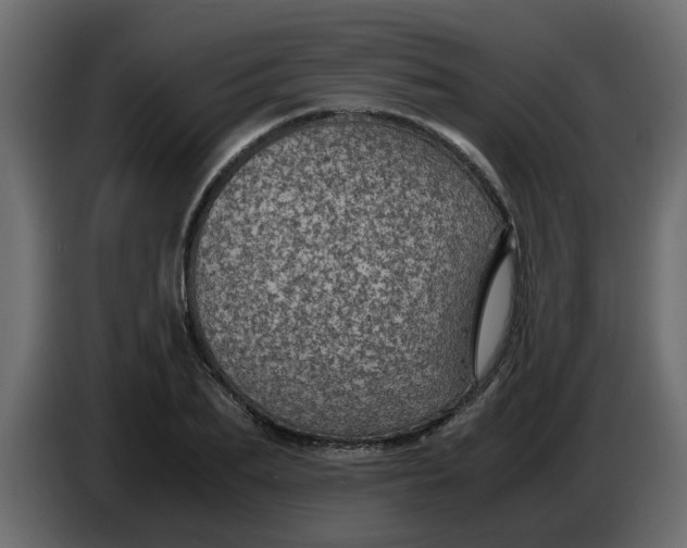 X0000083580887200703021812