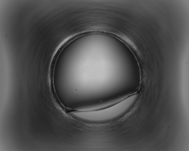 X0000083580888200703021812