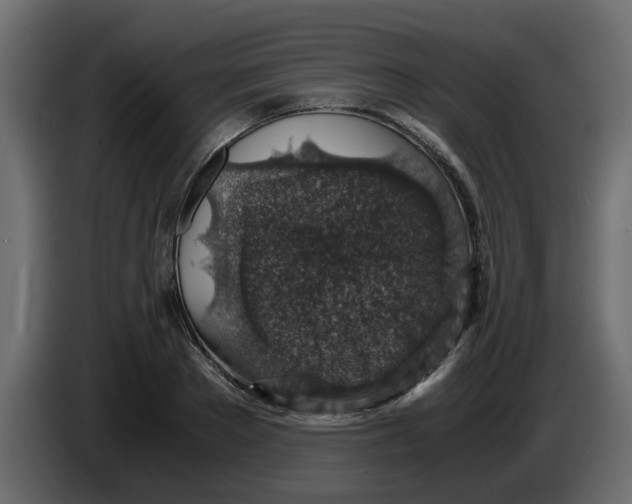 X0000083580889200703021812