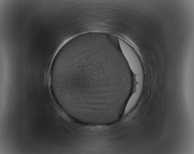 X0000083580891200703021812