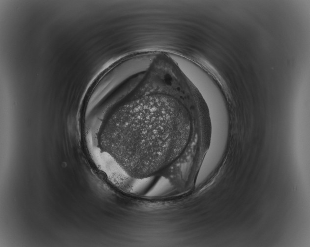 X0000083580892200703021812