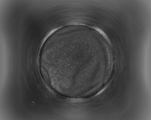 X0000083580893200703021812