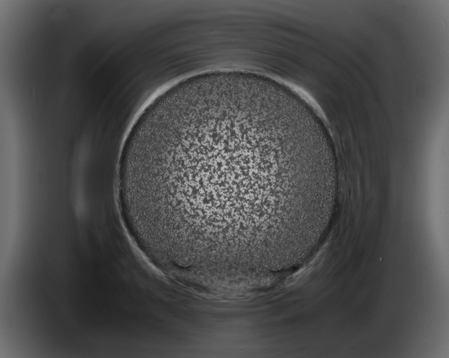 X0000083580895200703021812