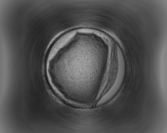 X0000083580896200703021812