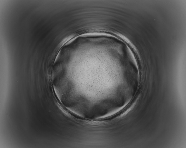 X0000083580897200703021812