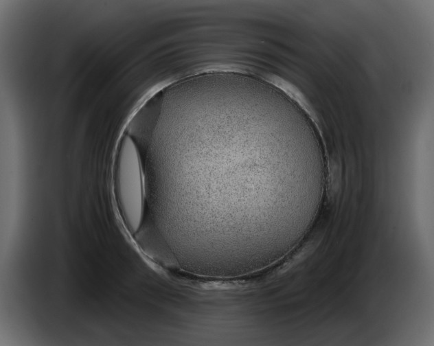 X0000083580898200703021812