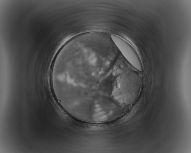 X0000083580899200703021812