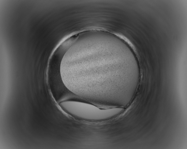 X0000083580902200703021812