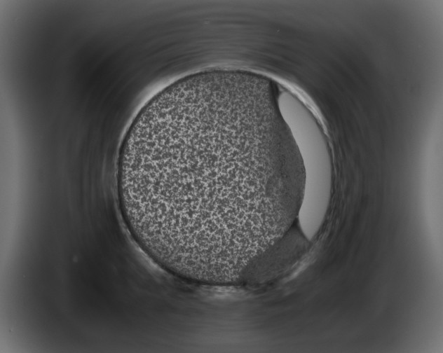 X0000083580903200703021812