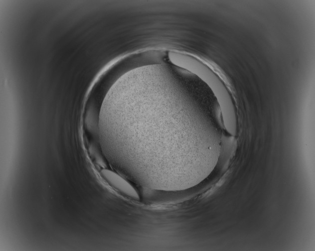 X0000083580904200703021812