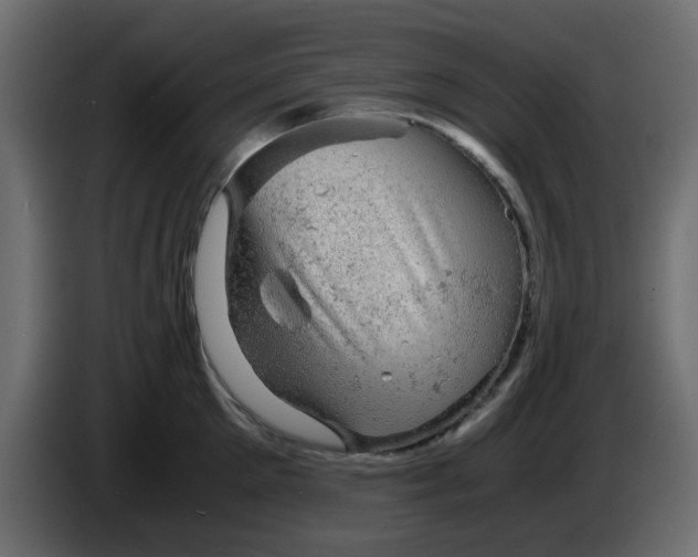 X0000083580905200703021812