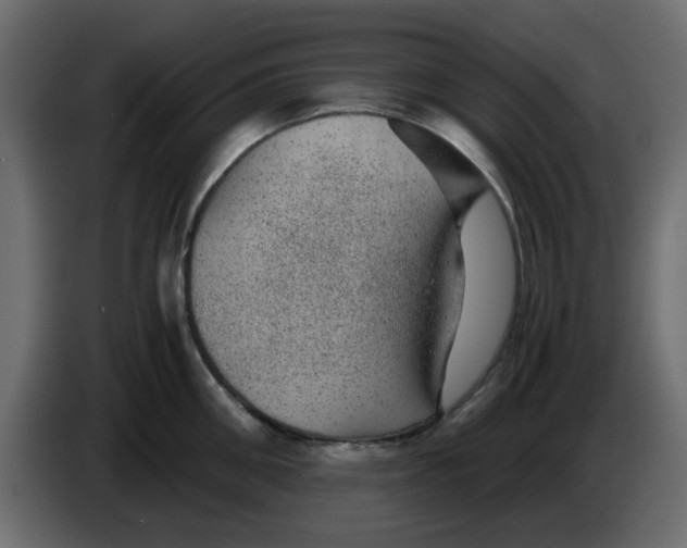 X0000083580906200703021812