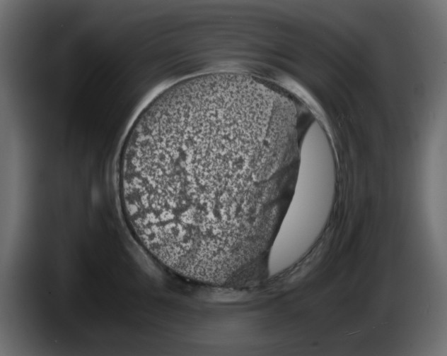 X0000083580907200703021812