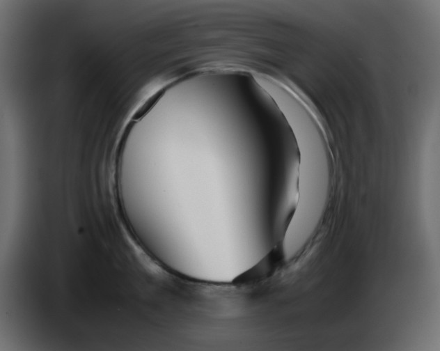 X0000083580909200703021812