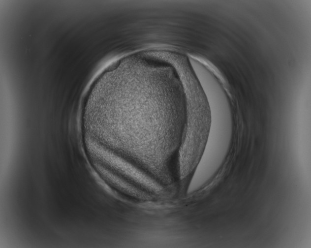 X0000083580910200703021812