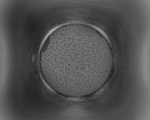 X0000083580911200703021812