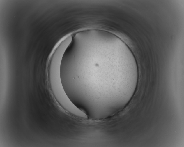 X0000083580912200703021812