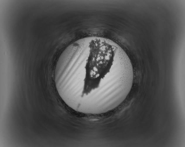 X0000083580913200703021811