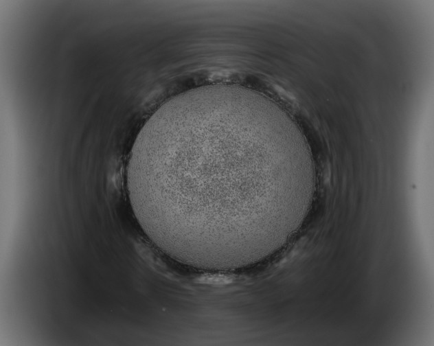 X0000083580914200703021811