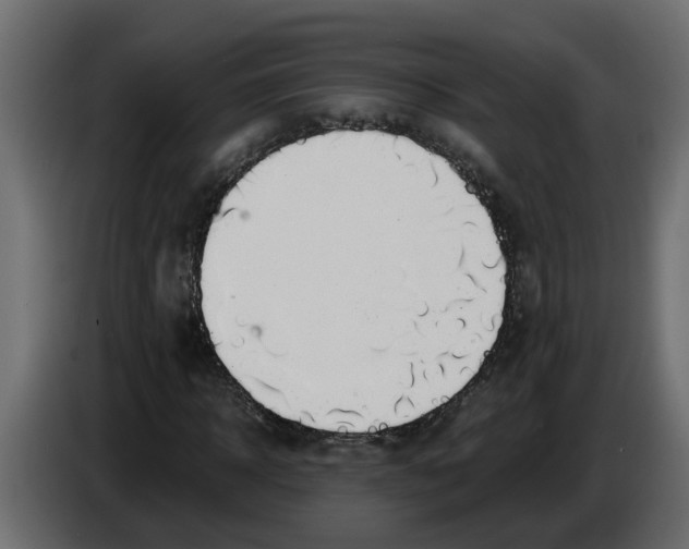 X0000083580918200703021811